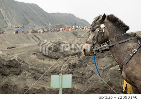 People is leading 22090140