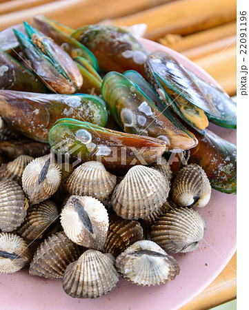 Fresh seafood mussels 22091196