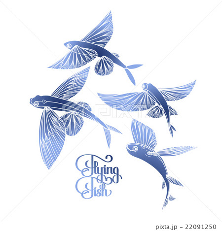 A blackwork style flying fish tattoo inked on the left arm  Tattoos Belly  tattoos Neck tattoo