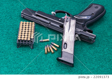 .22 pistol ammo pack magazine .22 pistol ammo pack magazine 22091373