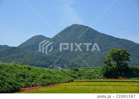 秋の二上山 22091397
