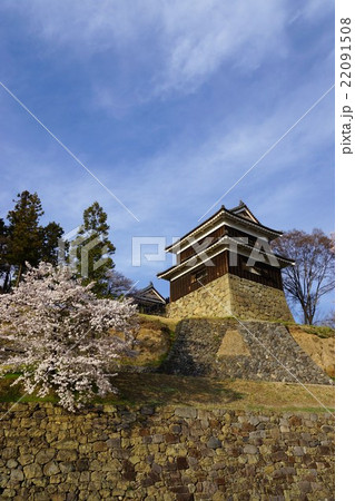 真田丸元城　桜咲く春の信州上田城(真田城) 22091508