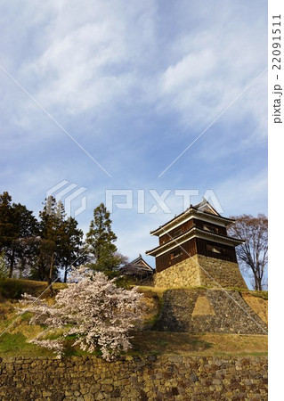 真田丸元城 桜咲く春の信州上田城(真田城) 真田丸元城 桜咲く春の信州上田城(真田城) 22091511