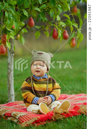 little cute boy with the harvest little cute boy with the harvest 22091987