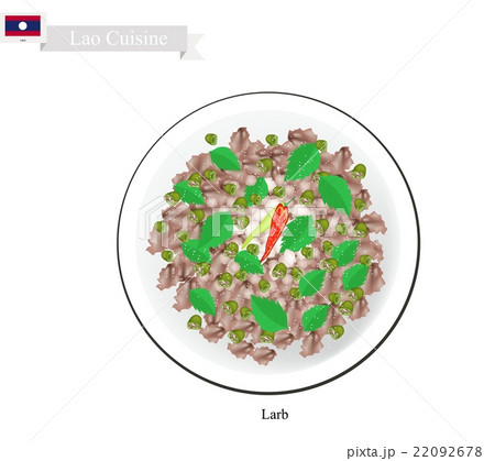 Larb or Laos Spicy Minced Meat Salad 22092678