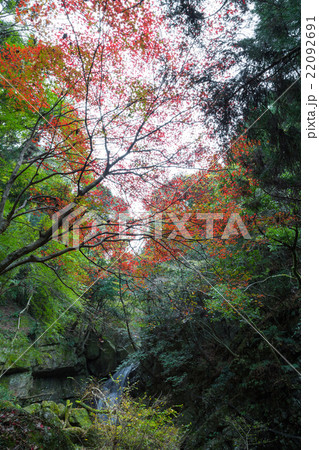 牛滝山 錦流の滝 牛滝山 錦流の滝 22092691