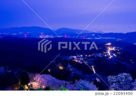 夜の吉野桜 22093400