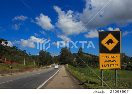 wild animals crossing 22093607