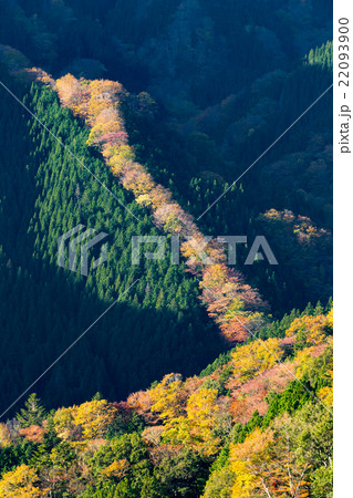 秋のナメゴ谷 22093900
