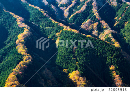 秋のナメゴ谷 22093918