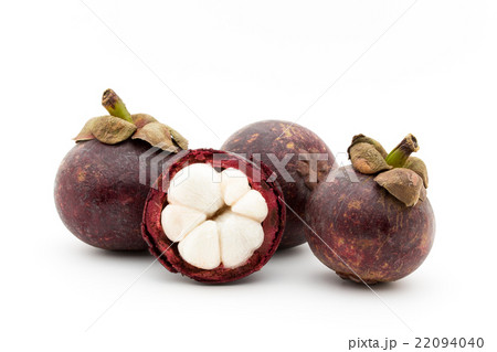 マンゴスチン:Purple mangosteen 22094040