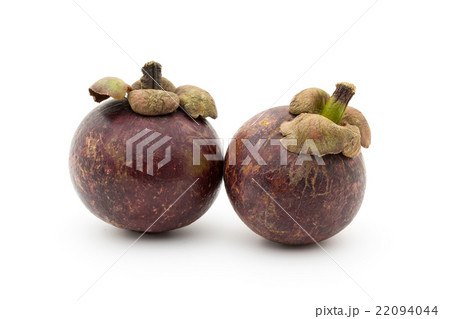 マンゴスチン:Purple mangosteen 22094044