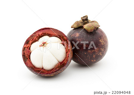 マンゴスチン:Purple mangosteen 22094048