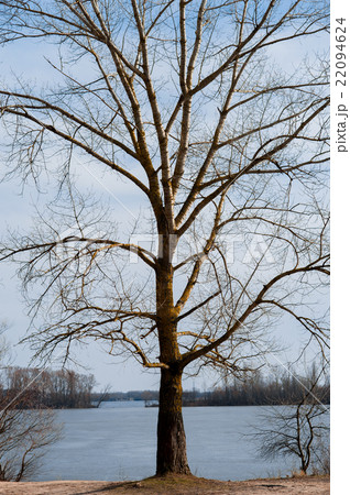 Nature background with spring landscape Nature background with spring landscape 22094624