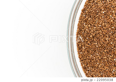 テフ（穀物）:TEFF 22095038
