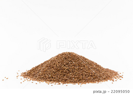 テフ（穀物）:TEFF 22095050