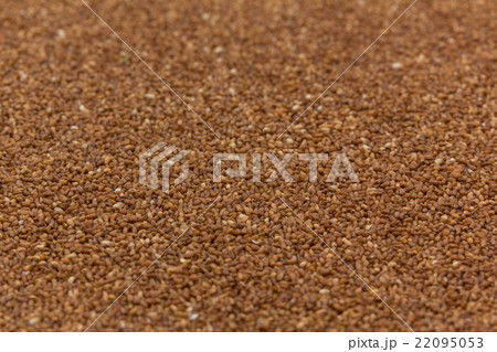 テフ(穀物):TEFF テフ(穀物):TEFF 22095053