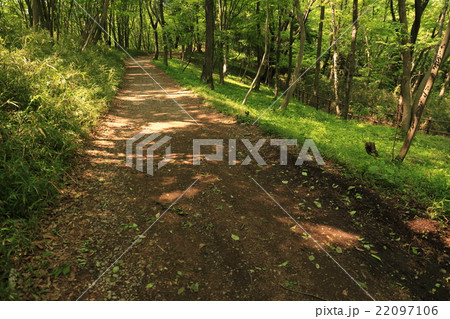 都立滝山自然公園 都立滝山自然公園 22097106