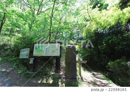 長沼公園 22098165