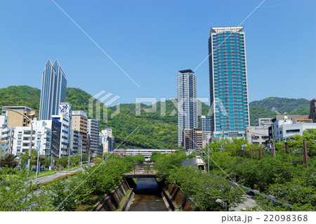 神戸 新緑の生田川と高層ビル 神戸 新緑の生田川と高層ビル 22098368