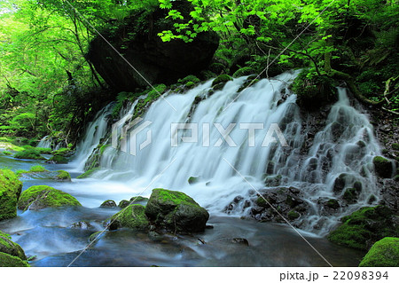 夏の元滝伏流水 夏の元滝伏流水 22098394