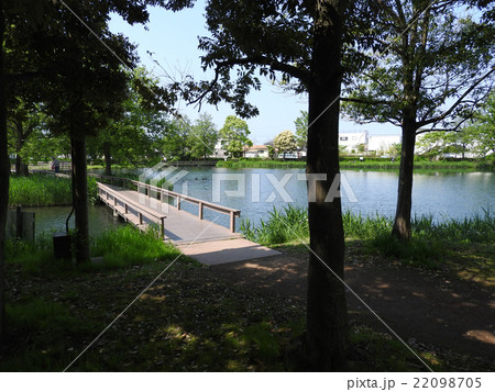 中郷温水池 中郷温水池 22098705