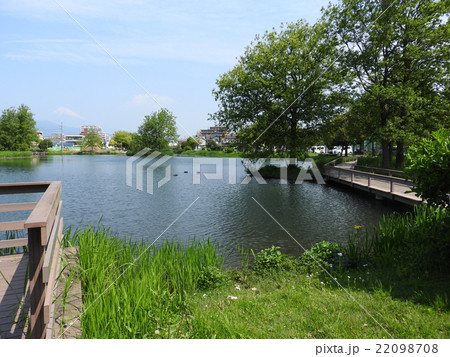 中郷温水池 22098708