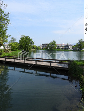 中郷温水池 22098709