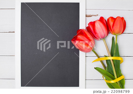 Empty clean black chalkboard with red tulips and Empty clean black chalkboard with red tulips and 22098799