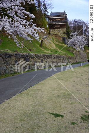 真田丸元城 桜咲く春の信州上田城(真田城) 真田丸元城 桜咲く春の信州上田城(真田城) 22099283