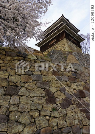 真田丸元城　桜咲く春の信州上田城(真田城) 22099292