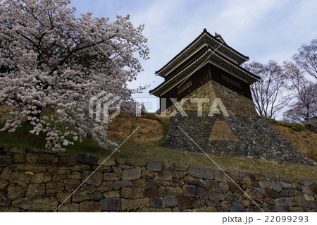 真田丸元城　桜咲く春の信州上田城(真田城) 22099293