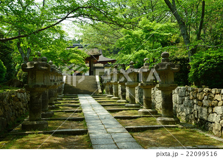 三井寺 大津 三井寺 大津 22099516