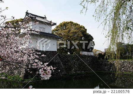 桜と大分城 22100576
