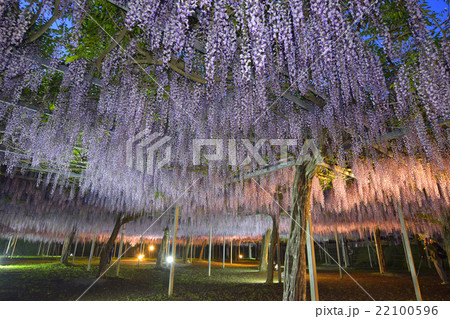 霧島の和気神社 22100596
