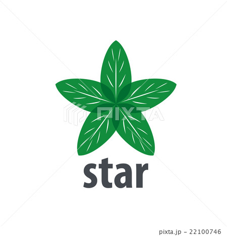 vector logo star 22100746