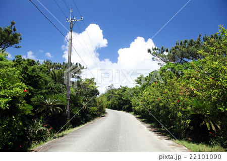 真夏の奄美大島 真夏の奄美大島 22101090