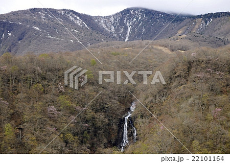 蔵王・春の三階滝(宮城県) 蔵王・春の三階滝(宮城県) 22101164