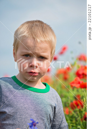 Serious boy in field with red poppies Serious boy in field with red poppies 22101217