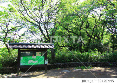 平山城址公園 平山城址公園 22101445