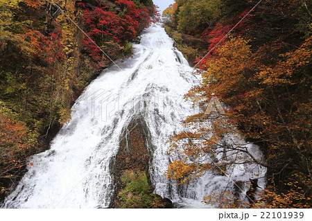 10月 紅葉の湯滝 奥日光の秋 の写真素材