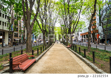 仙台 新緑の定禅寺通 仙台 新緑の定禅寺通 22102554