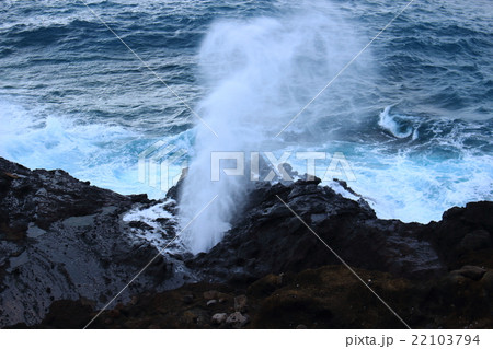 ハロナ潮吹き穴 22103794