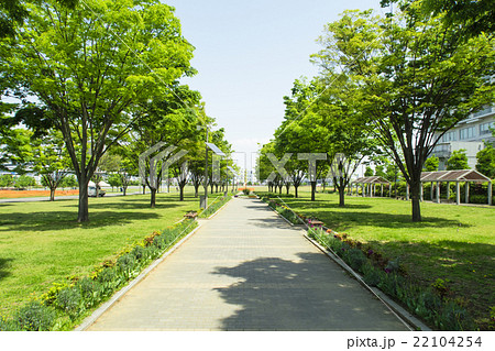 写真素材「東京臨海広域 防災公園」 写真素材「東京臨海広域 防災公園」 22104254