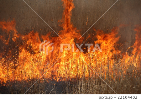 野焼き 22104402