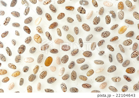 チアシード 22104643