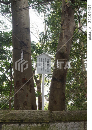 検見川神社 検見川神社 22106436