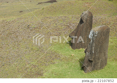 Statues of Easter Island Statues of Easter Island 22107852