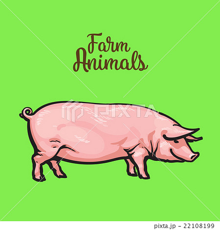 illustration of pig in graphic style. Drawing by 22108199