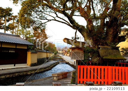 上賀茂神社 上賀茂神社 22109513